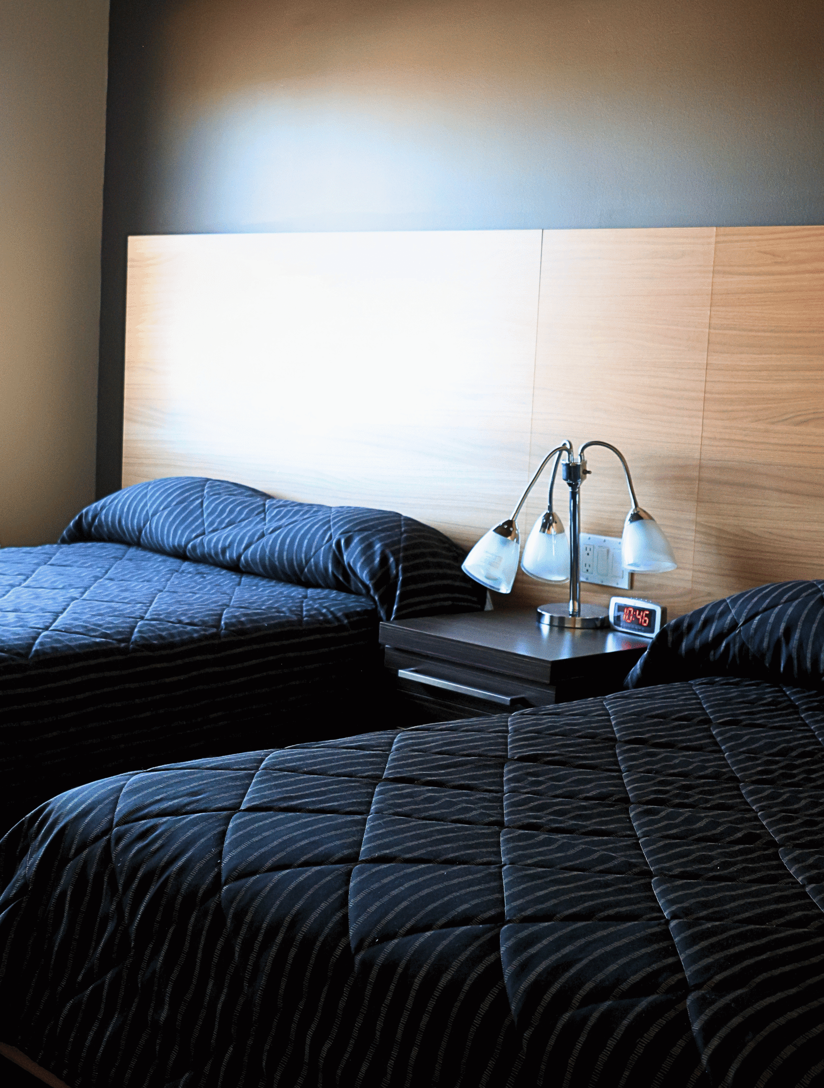 chambre-hotel-le55-1